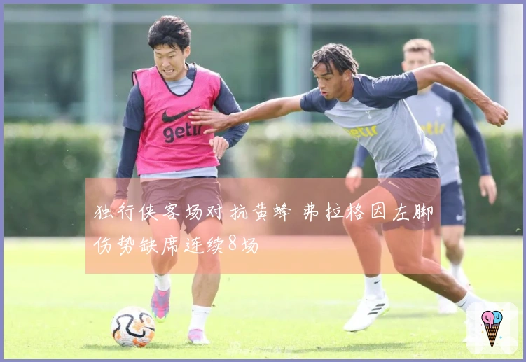 独行侠客场对抗黄蜂 弗拉格因左脚伤势缺席连续8场