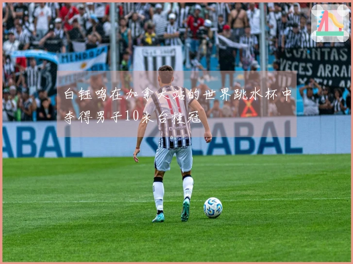 白钰鸣在加拿大站的世界跳水杯中夺得男子10米台桂冠