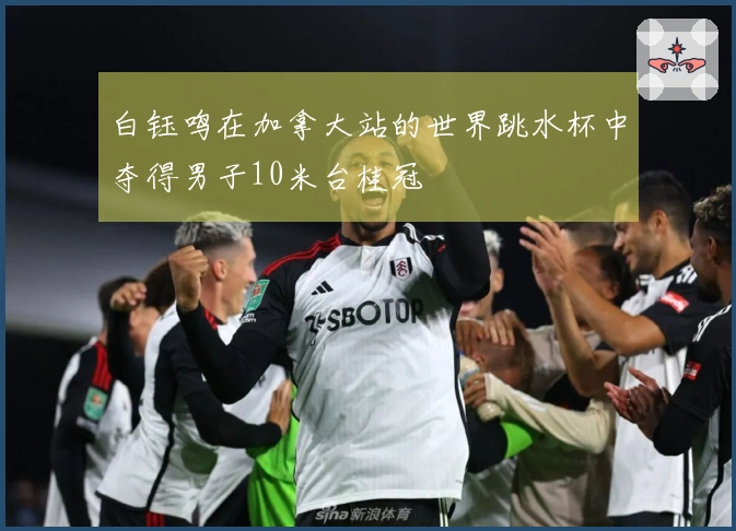 白钰鸣在加拿大站的世界跳水杯中夺得男子10米台桂冠